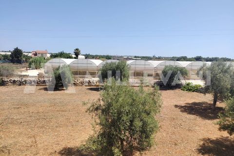 Villa i Scicli, Ragusa, Scicli - € 60.000 | Ref: 1122 - foto 14