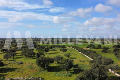 Landejendom i Scicli, Ragusa, Scicli - € 700.000 | Ref: 1133 - foto 19