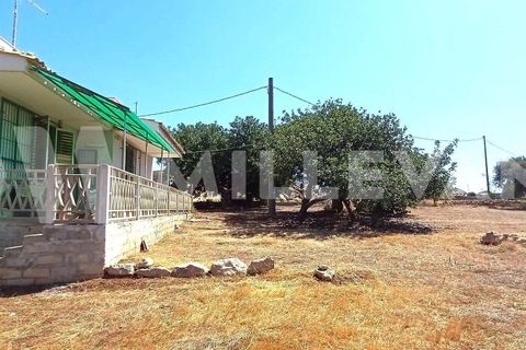 Villa i Scicli, Ragusa, Scicli - € 165.000 | Ref: 1138 - foto 5