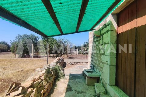 Villa i Scicli, Ragusa, Scicli - € 165.000 | Ref: 1138 - foto 8