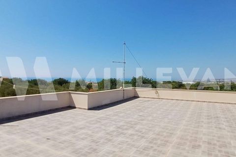 Villa i Scicli, Ragusa, Scicli - € 165.000 | Ref: 1138 - foto 18