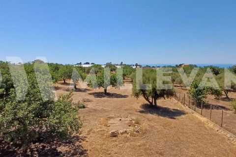 Villa i Scicli, Ragusa, Scicli - € 165.000 | Ref: 1138 - foto 21