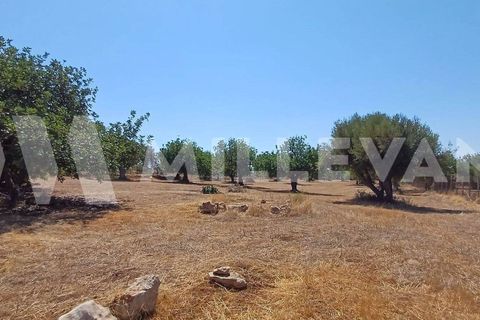 Villa i Scicli, Ragusa, Scicli - € 165.000 | Ref: 1138 - foto 22