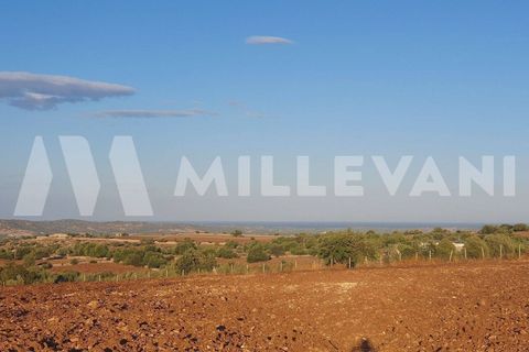 Helårsgrund i Rosolini, Siracusa, Rosolini - € 87.000 | Ref: 1146 - foto 1