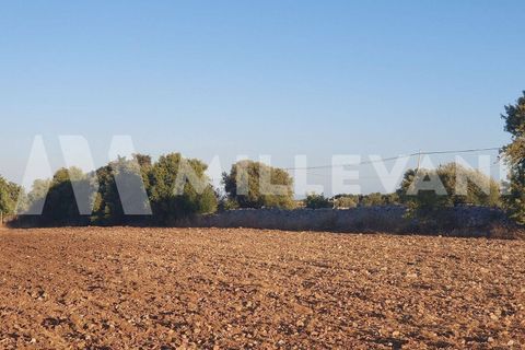 Helårsgrund i Rosolini, Siracusa, Rosolini - € 87.000 | Ref: 1146 - foto 2