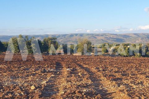 Helårsgrund i Rosolini, Siracusa, Rosolini - € 87.000 | Ref: 1146 - foto 3