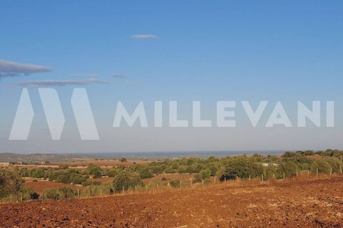 Helårsgrund i Rosolini, Siracusa, Rosolini - € 87.000 | Ref: 1146 - foto 4