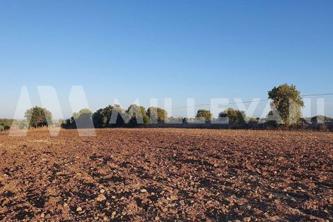 Helårsgrund i Rosolini, Siracusa, Rosolini - € 87.000 | Ref: 1146 - foto 5