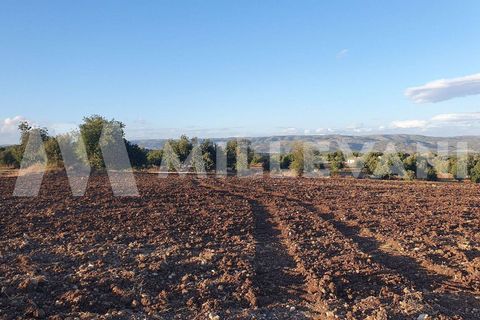 Helårsgrund i Rosolini, Siracusa, Rosolini - € 87.000 | Ref: 1146 - foto 6