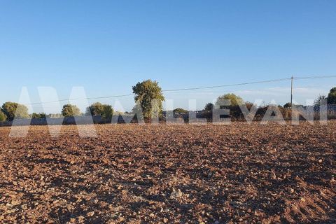 Helårsgrund i Rosolini, Siracusa, Rosolini - € 87.000 | Ref: 1146 - foto 7