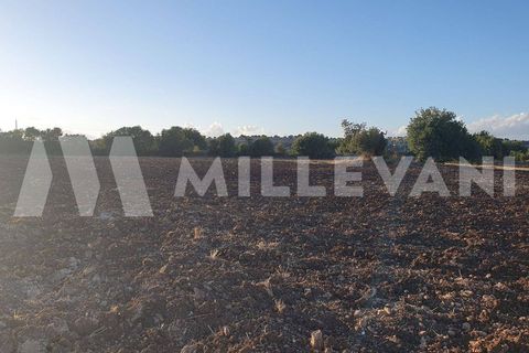 Helårsgrund i Rosolini, Siracusa, Rosolini - € 87.000 | Ref: 1146 - foto 8