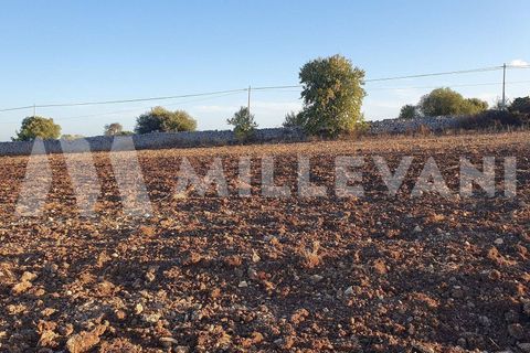 Helårsgrund i Rosolini, Siracusa, Rosolini - € 87.000 | Ref: 1146 - foto 9