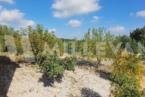 Villa i Modica, Ragusa, Modica - € 195.000 | Ref: 1150 - foto 27