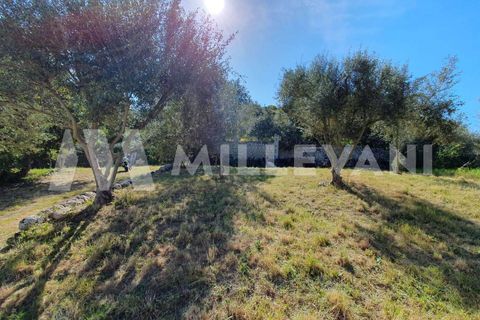 Landejendom i Modica, Ragusa, Modica - € 175.000 | Ref: 1155 - foto 23
