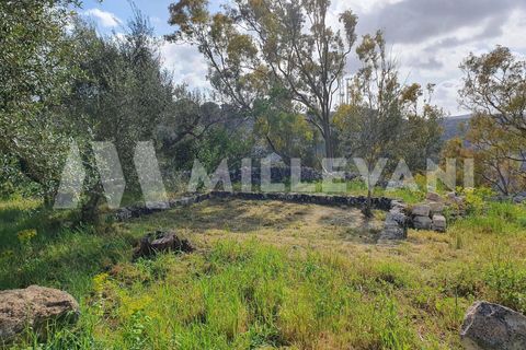 Landejendom i Modica, Ragusa, Modica - € 175.000 | Ref: 1155 - foto 24