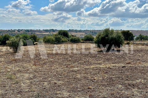 Helårsgrund i Modica, Ragusa, Modica - € 60.000 | Ref: 1162 - foto 5