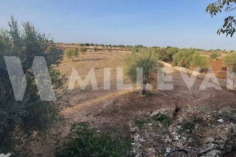 Landejendom i Modica, Ragusa, Modica - € 100.000 | Ref: 1168 - foto 16