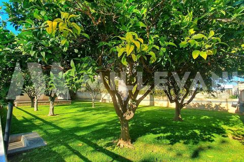 Villa a Ispica, Ragusa, Ispica - € 350.000 | Ref: 1217 - foto 24