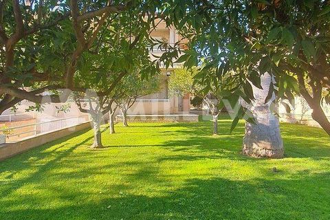 Villa a Ispica, Ragusa, Ispica - € 350.000 | Ref: 1217 - foto 25