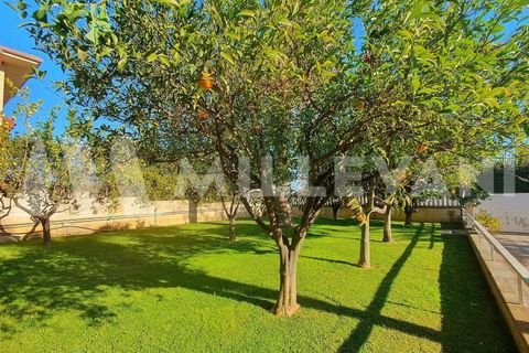 Villa a Ispica, Ragusa, Ispica - € 350.000 | Ref: 1217 - foto 26