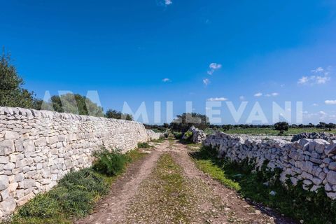 Landejendom i Modica, Ragusa, Modica - € 950.000 | Ref: 1225 - foto 27