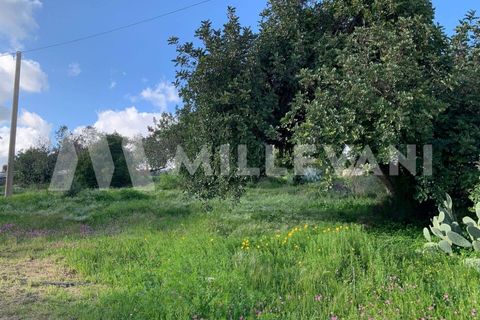 Landejendom i Scicli, Ragusa, Scicli - € 200.000 | Ref: 1235 - foto 23
