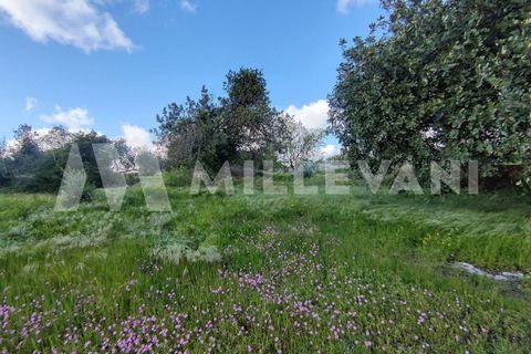 Landejendom i Scicli, Ragusa, Scicli - € 200.000 | Ref: 1235 - foto 24