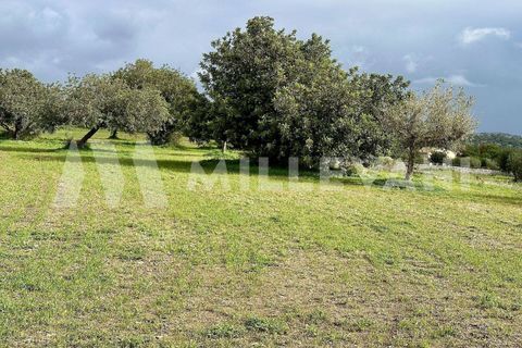 Villa i Modica, Ragusa, Modica - € 180.000 | Ref: 1242 - foto 11