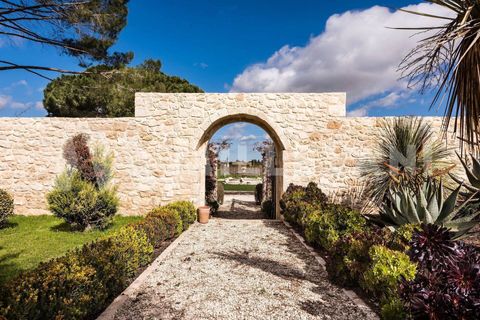 Villa i Comiso, Ragusa, Comiso - € 4 500 000 | Ref: 1260 - foto 6