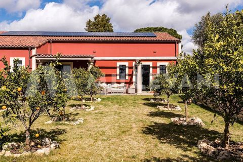 Villa i Comiso, Ragusa, Comiso - € 4 500 000 | Ref: 1260 - foto 9