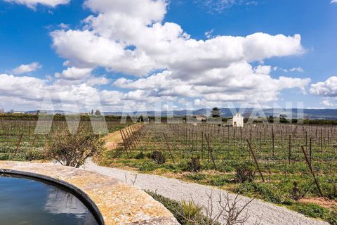Villa i Comiso, Ragusa, Comiso - € 4 500 000 | Ref: 1260 - foto 35