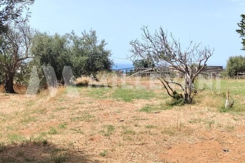 Villa i Scicli, Ragusa, Scicli - € 190.000 | Ref: 1293 - foto 15
