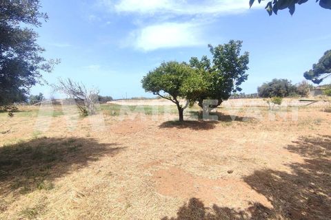 Villa i Scicli, Ragusa, Scicli - € 190.000 | Ref: 1293 - foto 16