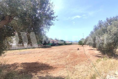 Villa i Scicli, Ragusa, Scicli - € 190.000 | Ref: 1293 - foto 17