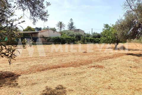 Villa i Scicli, Ragusa, Scicli - € 190.000 | Ref: 1293 - foto 18