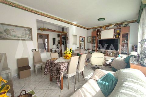 Lejlighed i Scicli, Ragusa, Scicli - € 95.000 | Ref: 1296 - foto 3