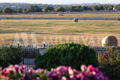 Villa i Scicli, Ragusa, Scicli - € 500.000 | Ref: 1346 - foto 26