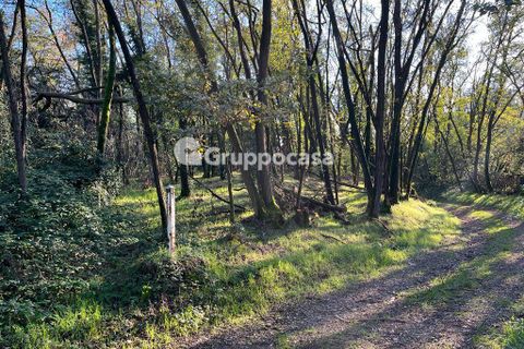 Terra a Magenta, Milan, Magenta - € 330.000 | Ref: Terreno Magenta (PV) - foto 3