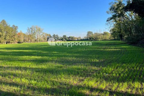 Terra a Magenta, Milan, Magenta - € 330.000 | Ref: Terreno Magenta (PV) - foto 4