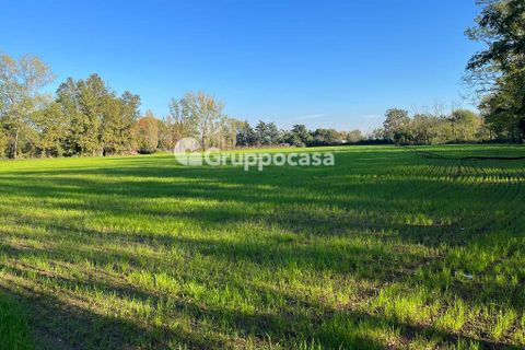 Terra a Magenta, Milan, Magenta - € 330.000 | Ref: Terreno Magenta (PV) - foto 5