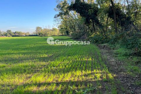 Terra a Magenta, Milan, Magenta - € 330.000 | Ref: Terreno Magenta (PV) - foto 6