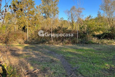 Terra a Magenta, Milan, Magenta - € 330.000 | Ref: Terreno Magenta (PV) - foto 7