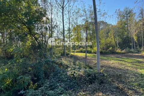 Terra a Magenta, Milan, Magenta - € 330.000 | Ref: Terreno Magenta (PV) - foto 8