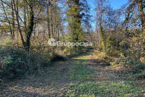 Terra a Magenta, Milan, Magenta - € 330.000 | Ref: Terreno Magenta (PV) - foto 9