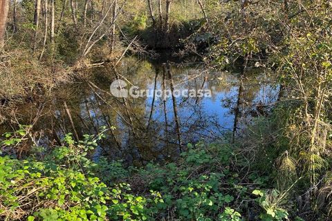 Terra a Magenta, Milan, Magenta - € 330.000 | Ref: Terreno Magenta (PV) - foto 10