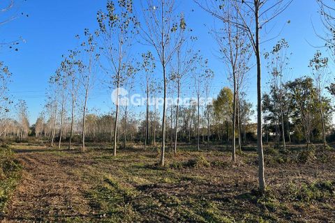 Terra a Magenta, Milan, Magenta - € 330.000 | Ref: Terreno Magenta (PV) - foto 12
