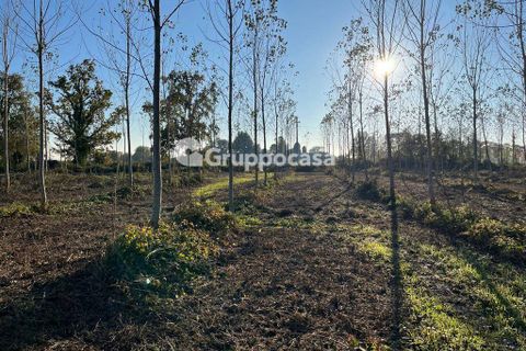 Terra a Magenta, Milan, Magenta - € 330.000 | Ref: Terreno Magenta (PV) - foto 19