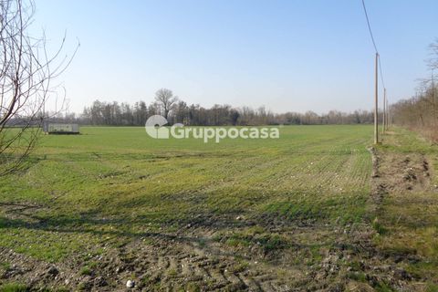 Terra a Magenta, Milan, Magenta - € 272.000 | Ref: Magenta zona pietrasanta - foto 2