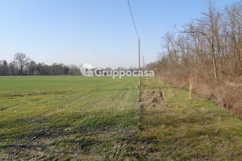 Terra a Magenta, Milan, Magenta - € 272.000 | Ref: Magenta zona pietrasanta - foto 3