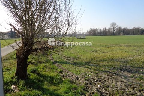 Terra a Magenta, Milan, Magenta - € 272.000 | Ref: Magenta zona pietrasanta - foto 4